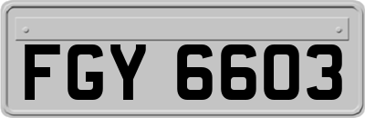 FGY6603
