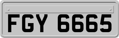 FGY6665