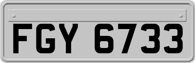 FGY6733