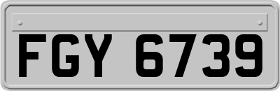 FGY6739