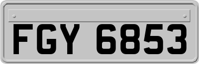 FGY6853