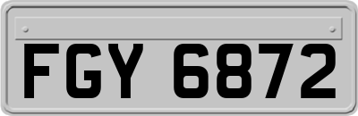 FGY6872