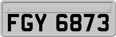 FGY6873