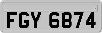 FGY6874