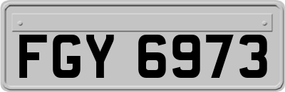 FGY6973