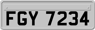 FGY7234