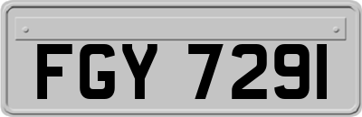 FGY7291
