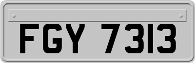 FGY7313