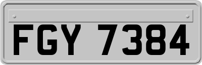 FGY7384