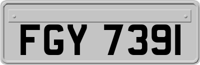 FGY7391