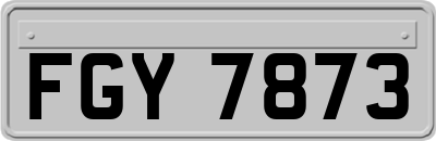 FGY7873