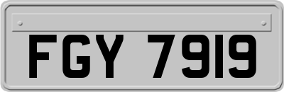 FGY7919