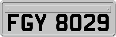 FGY8029