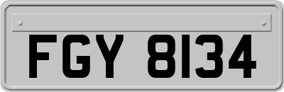 FGY8134