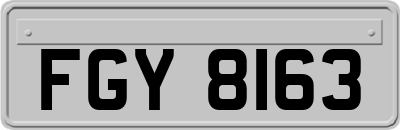 FGY8163