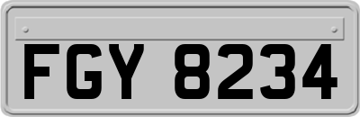 FGY8234