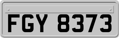 FGY8373