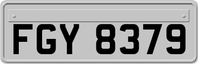 FGY8379