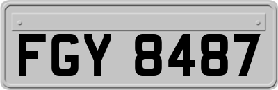 FGY8487
