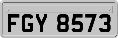 FGY8573