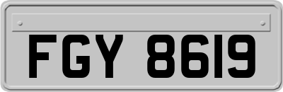 FGY8619