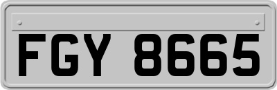 FGY8665