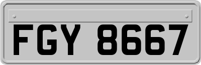 FGY8667