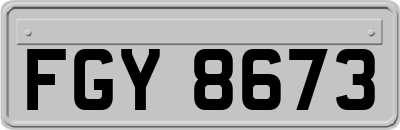 FGY8673