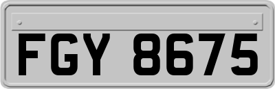 FGY8675