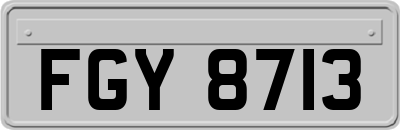 FGY8713