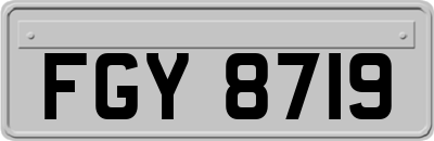 FGY8719
