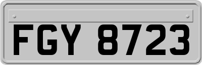 FGY8723