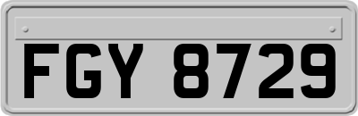 FGY8729