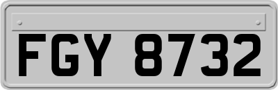 FGY8732