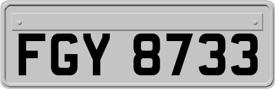 FGY8733