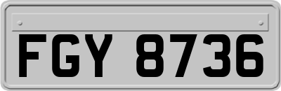FGY8736