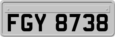 FGY8738