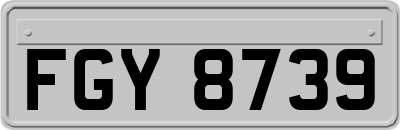 FGY8739