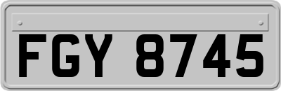 FGY8745