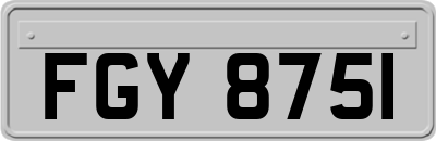 FGY8751