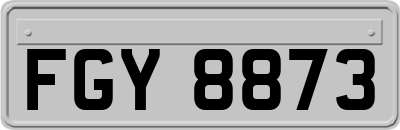 FGY8873