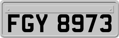 FGY8973