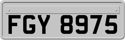 FGY8975