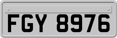 FGY8976