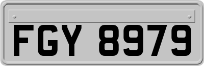 FGY8979