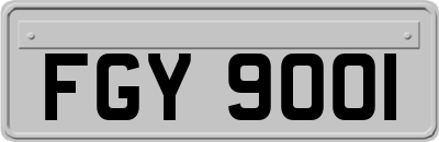 FGY9001