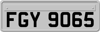 FGY9065