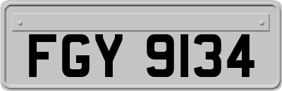 FGY9134