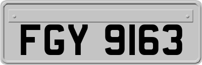FGY9163