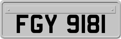 FGY9181